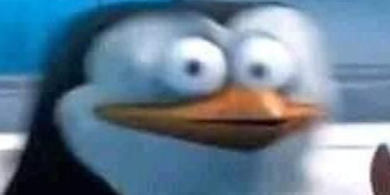 Imagem do grupo de WhatsApp KMKZ @ ZUEIRA