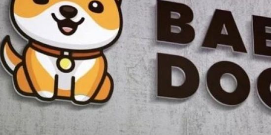 Imagem do grupo de WhatsApp BABY DOGE BRASIL 🇧🇷🐶✅