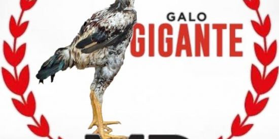 Imagem do grupo de WhatsApp Criadores de 🐓 índio Gigante
