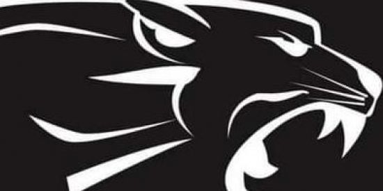 Imagem do grupo de WhatsApp Panteras