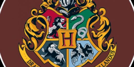Imagem do grupo de WhatsApp 🔮 RPG Contos de Hogwarts🔮