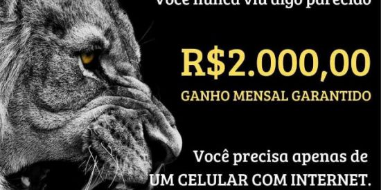 Imagem do grupo de WhatsApp *RENDA EXTRA DE SUCESSO*