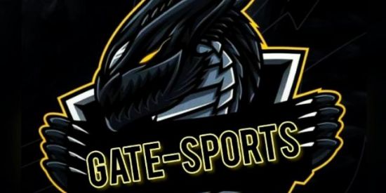 Imagem do grupo de WhatsApp RECRUTAMENTO GATE 🎮🔥