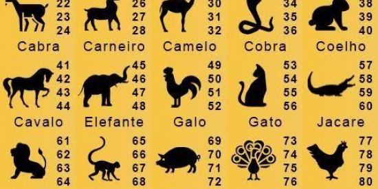 Imagem do grupo de WhatsApp Rifa Dos Bichos