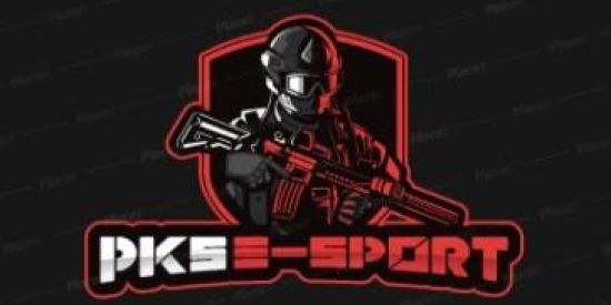 Imagem do grupo de WhatsApp 🔥SELEÇÃO PKS🔥