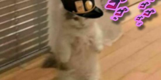 Imagem do grupo de WhatsApp Shitpost da Zueira 😎👌 2.0