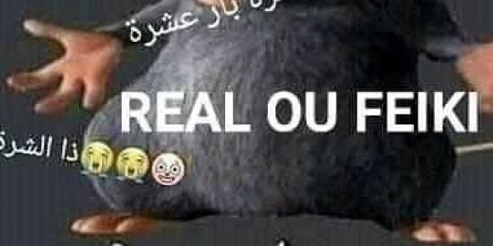 Imagem do grupo de WhatsApp Ratão do feike