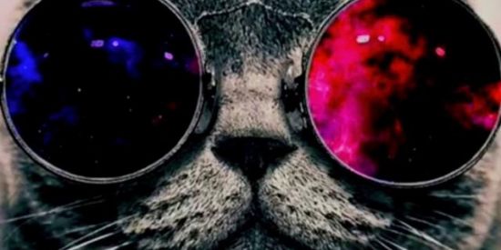 Imagem do grupo de WhatsApp #1⫷E̶R̶R̶O̶R̶ ̶5̶0̶5̶⫸