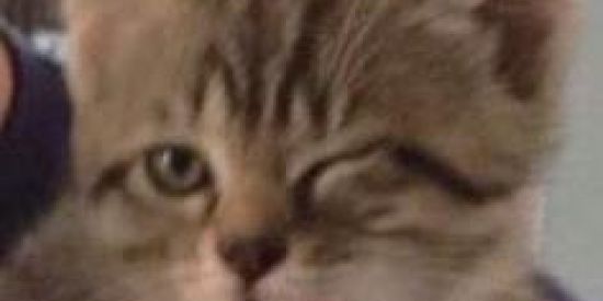 Imagem do grupo de WhatsApp 𝘈𝘮𝘪𝘻𝘢𝘥𝘦𝘴_𝐎𝐍