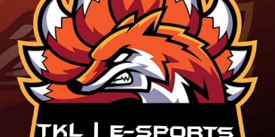 Imagem do grupo de WhatsApp FREE FIRE, RECRUTAMENTO | TKL