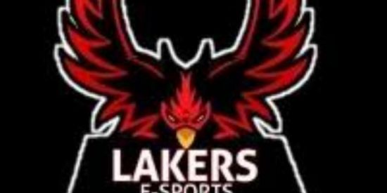 Imagem do grupo de WhatsApp Tropa do free Fire