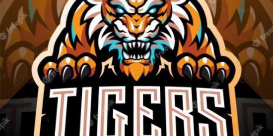 Imagem do grupo de WhatsApp Teste da  TG | TIGERS