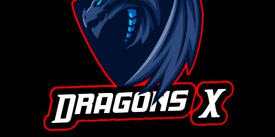 Imagem do grupo de WhatsApp Dragons X 🐉