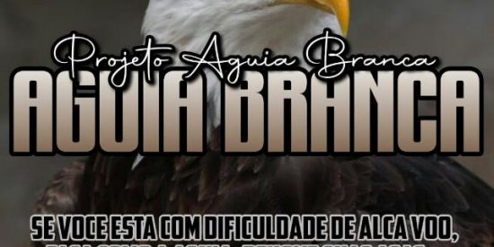 Imagem do grupo de WhatsApp AGUIA BRANCA