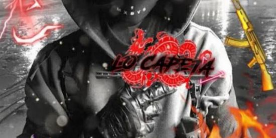 Imagem do grupo de WhatsApp HOLANDESES