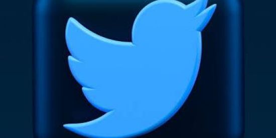 Imagem do grupo de WhatsApp Seguidores no twitter🔥🤡