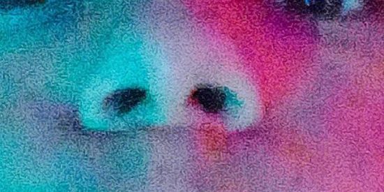 Imagem do grupo de WhatsApp Zueira - o grupo