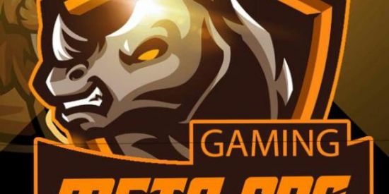 Imagem do grupo de WhatsApp RECRUTAMENTO🇧🇷👑 META SNG E-ESPORT 👑🇧🇷