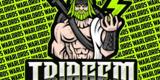 Imagem do grupo de WhatsApp ⚔️|•TRIAGEM •Wl'ร•|⚔️