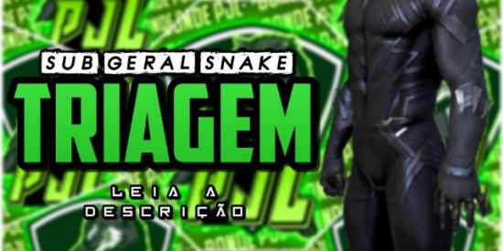 Imagem do grupo de WhatsApp 🐍Tʀɪᴀɢᴇᴍ Sᴜʙ Gᴇʀᴀʟ Sɴᴀᴋᴇ🐍