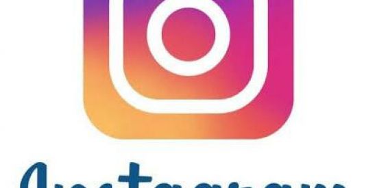 Imagem do grupo de WhatsApp seguidores Instagram