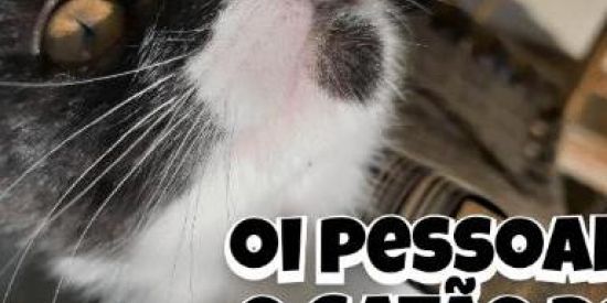 Imagem do grupo de WhatsApp Grupo dos sem noção