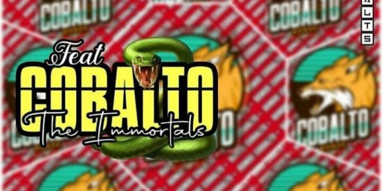 Imagem do grupo de WhatsApp ADM Cobalto