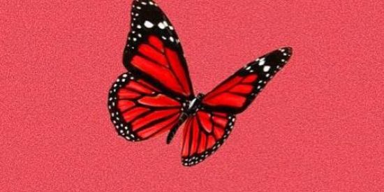 Imagem do grupo de WhatsApp 🍄Trιᥲgᥱ꧑ ✧Rɠ'ร✧