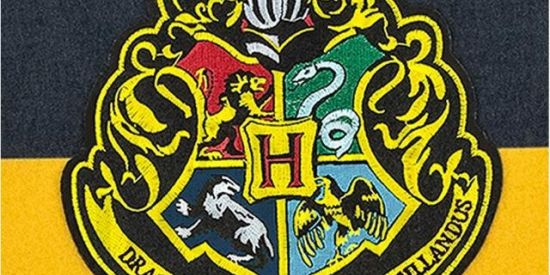 Imagem do grupo de WhatsApp ꧁❁.POTTERHEADS.❁꧂