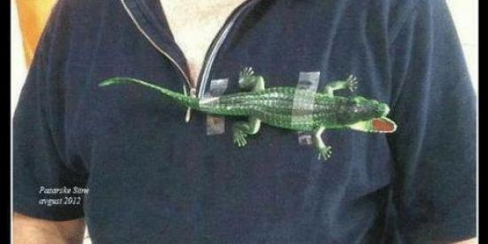 Imagem do grupo de WhatsApp Lacostego