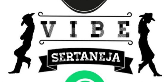 Imagem do grupo de WhatsApp Vibe Sertaneja ✅🎼🍃