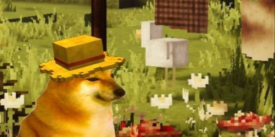Imagem do grupo de WhatsApp Minecraft