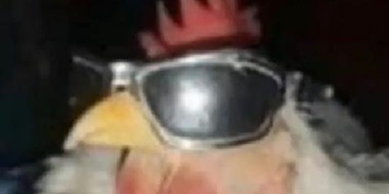 Imagem do grupo de WhatsApp Shit poster