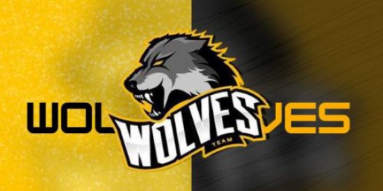 Imagem do grupo de WhatsApp RECRUTAMENTO WOLVES