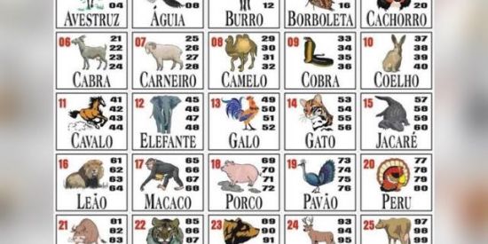 Imagem do grupo de WhatsApp JOGO DO BICHO DA BAHIA 02