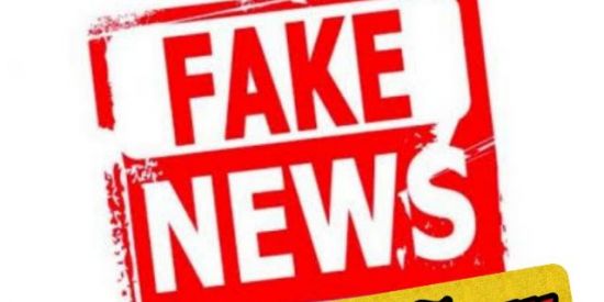 Imagem do grupo de WhatsApp "Fake News" NÃO TEM VEZ!