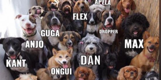 Imagem do grupo de WhatsApp salinha'$ dus cria🏑
