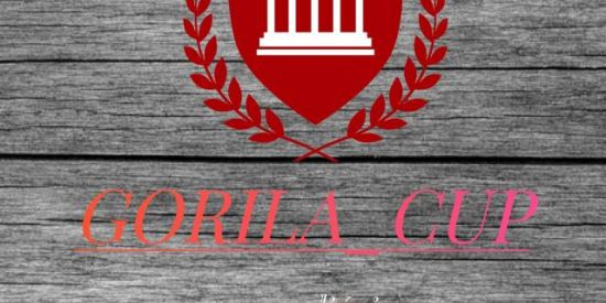 Imagem do grupo de WhatsApp gorila_cup