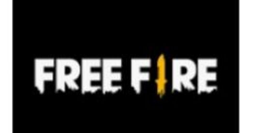 Imagem do grupo de WhatsApp Free fire torneio