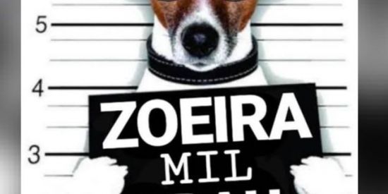 Imagem do grupo de WhatsApp Zoeira mil grau 🚀