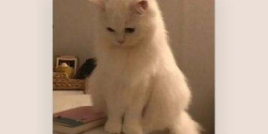 Imagem do grupo de WhatsApp Namoro ou amizades😈