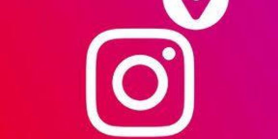 Imagem do grupo de WhatsApp 🦊••Seguidores insta••🦊