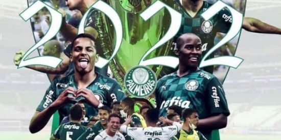 Imagem do grupo de WhatsApp S. E. Palmeiras