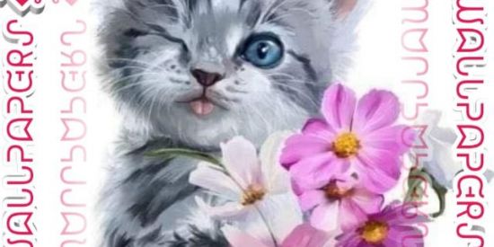 Imagem do grupo de WhatsApp এ⭒◆໋۬ᤢ  ᙎᗣᒐᒐᕈᗣᕈᙍᖇᔑ ◆໋۬ᤢ ⭒এ