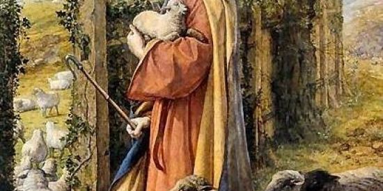 Imagem do grupo de WhatsApp Atrás das ovelhas.