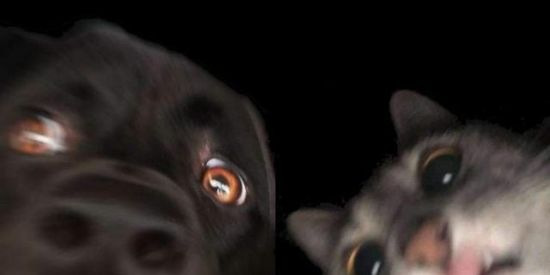 Imagem do grupo de WhatsApp chat do trem//naty