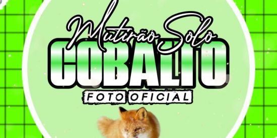 Imagem do grupo de WhatsApp 🌟 🌈🌈RECRUTAMENTO🌈🌈🌟