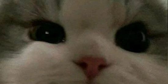 Imagem do grupo de WhatsApp Bora conversar ✌🏻🥶