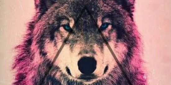 Imagem do grupo de WhatsApp 🫅🙊Contatinhos💌💞