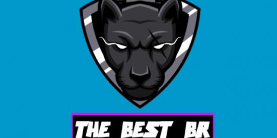 Imagem do grupo de WhatsApp THEᅠBESTᅠBR`